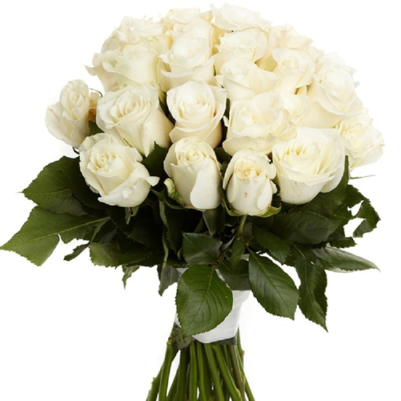 bouquet of white roses, standart