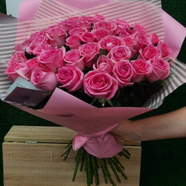 51 pink rose