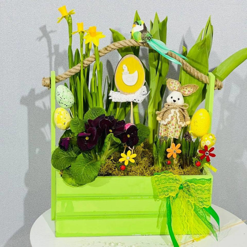 Easter gift mini garden with primroses, standart