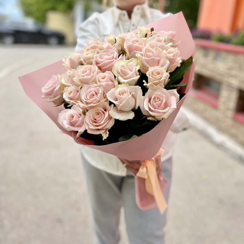 pale pink roses, standart