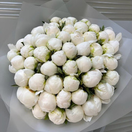 Bouquet of 51 peonies