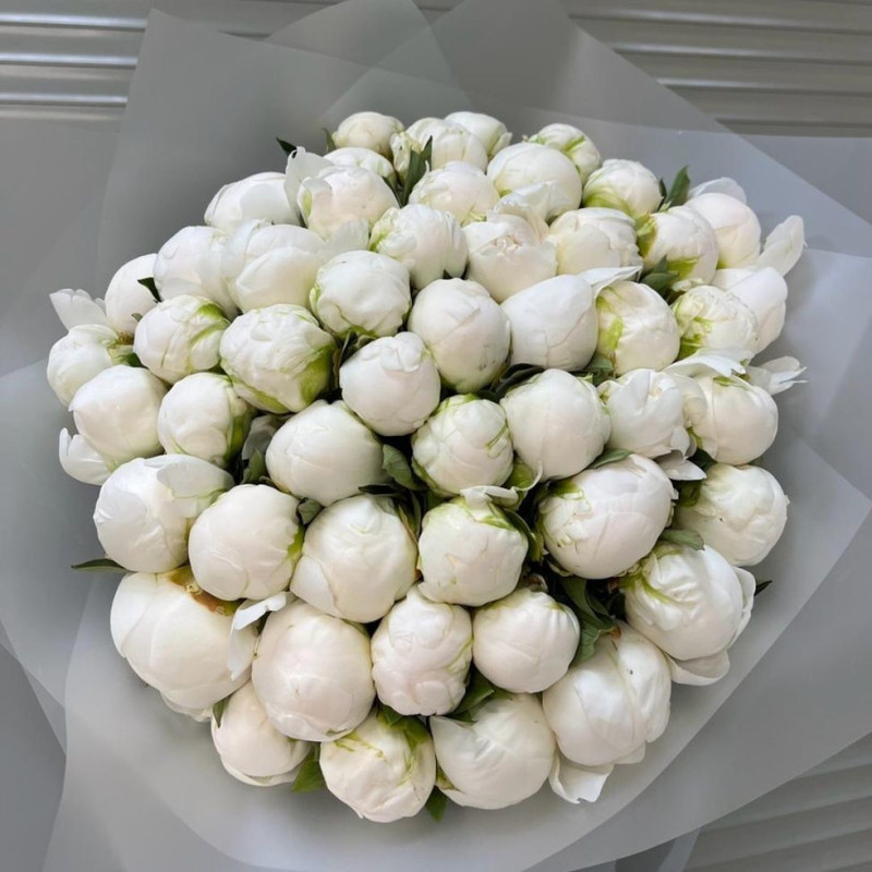 Bouquet of 51 peonies, standart