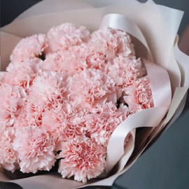 Bouquet with carnation 19pcs