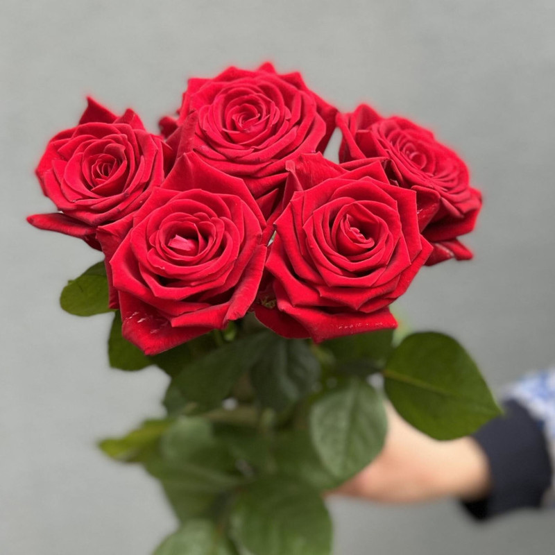 Bouquet of five roses, standart