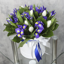 Коробка с цветами «Синие ирисы и белые тюльпаны»