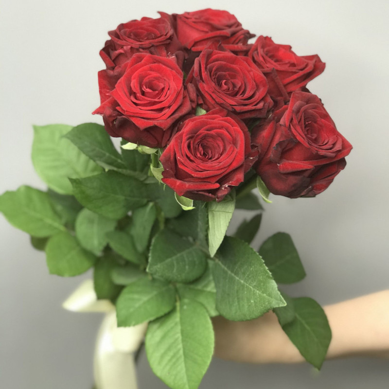 Красные розы, стандартный