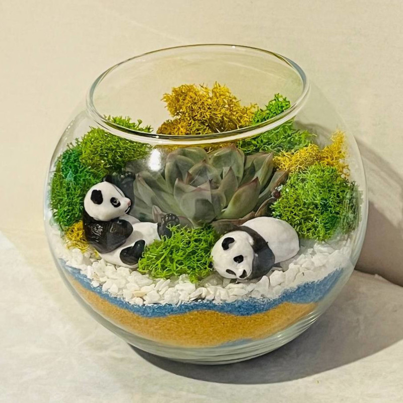 Mini garden with stone roses and pandas, standart