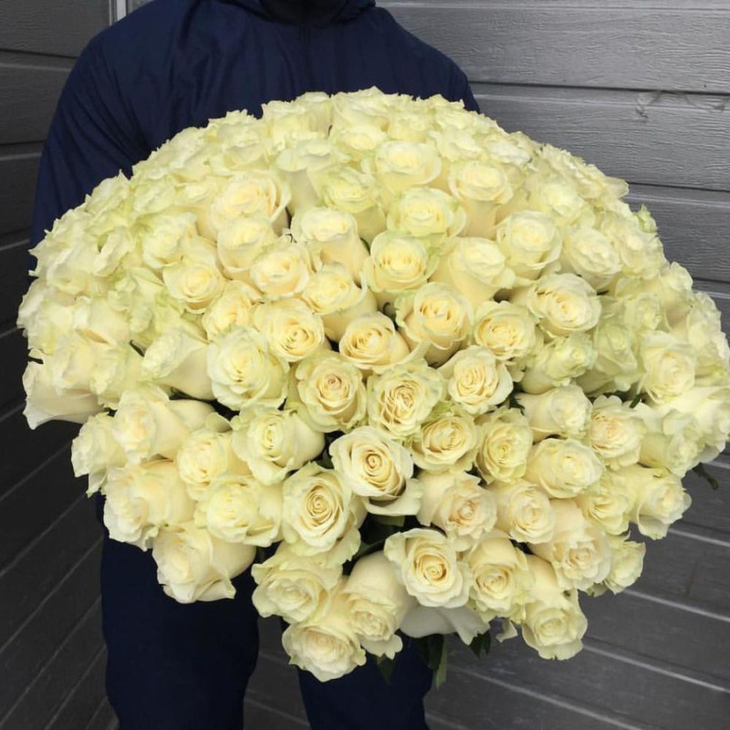 Букет из 101 розы белой Эквадор 40 см, стандартный