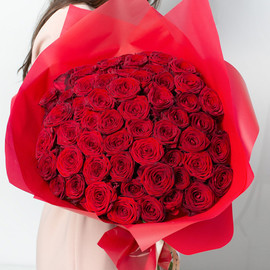 Бордовые / красные розы 51 шт. (40 см)