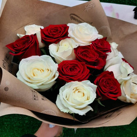 15 white and red roses