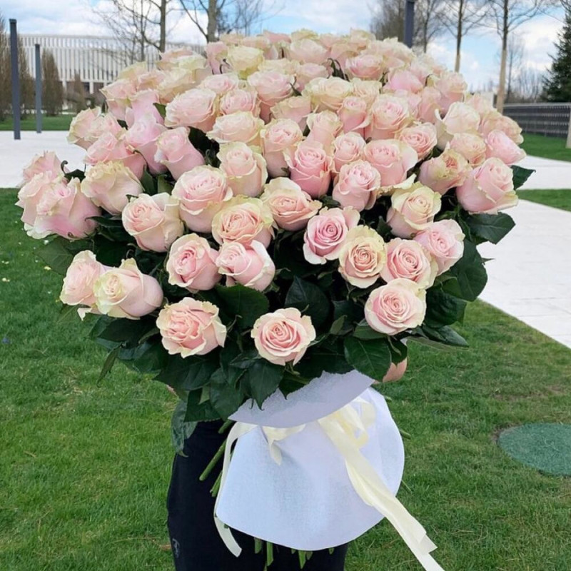 101 delicate premium rose 80 cm, Ecuador, standart