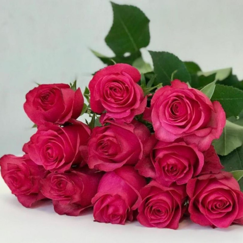 11 roses Ecuador, standart
