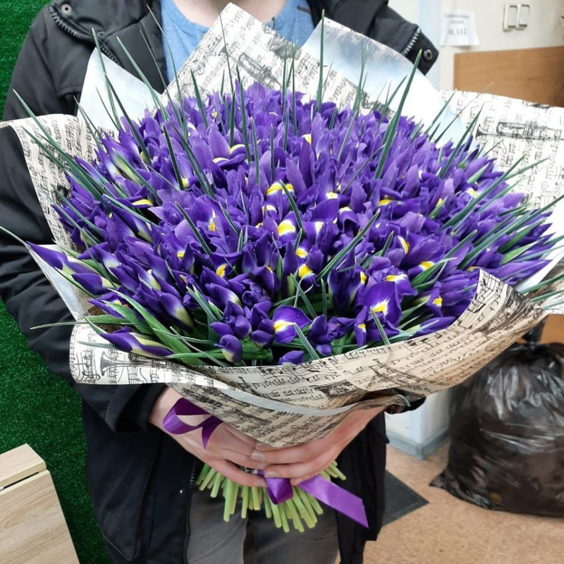 Bouquet of blue irises, standart