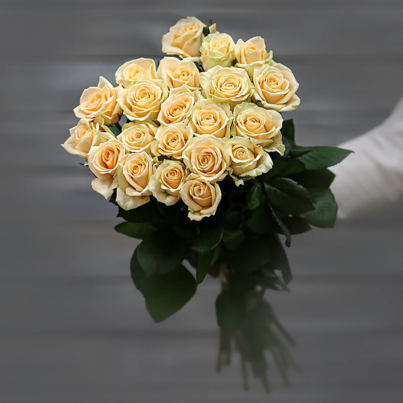 Bouquet of cream roses (Russia) with 60 cm ribbon, mini