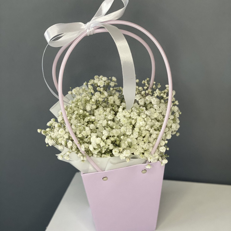 A bouquet of gypsophila in a purse (not at the oasis), standart