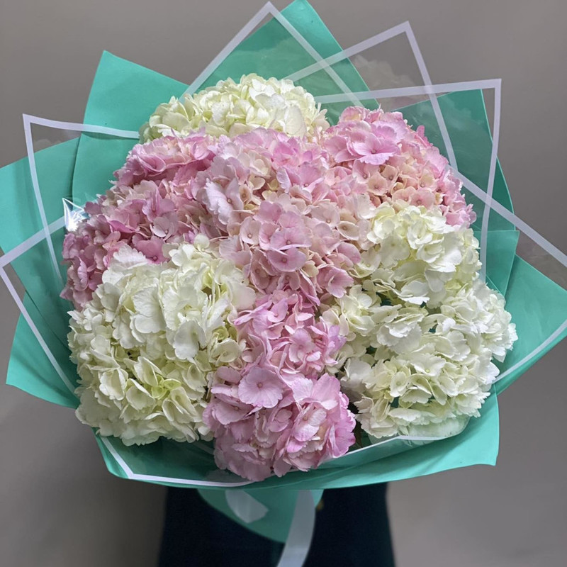 Bouquet of hydrangeas, standart