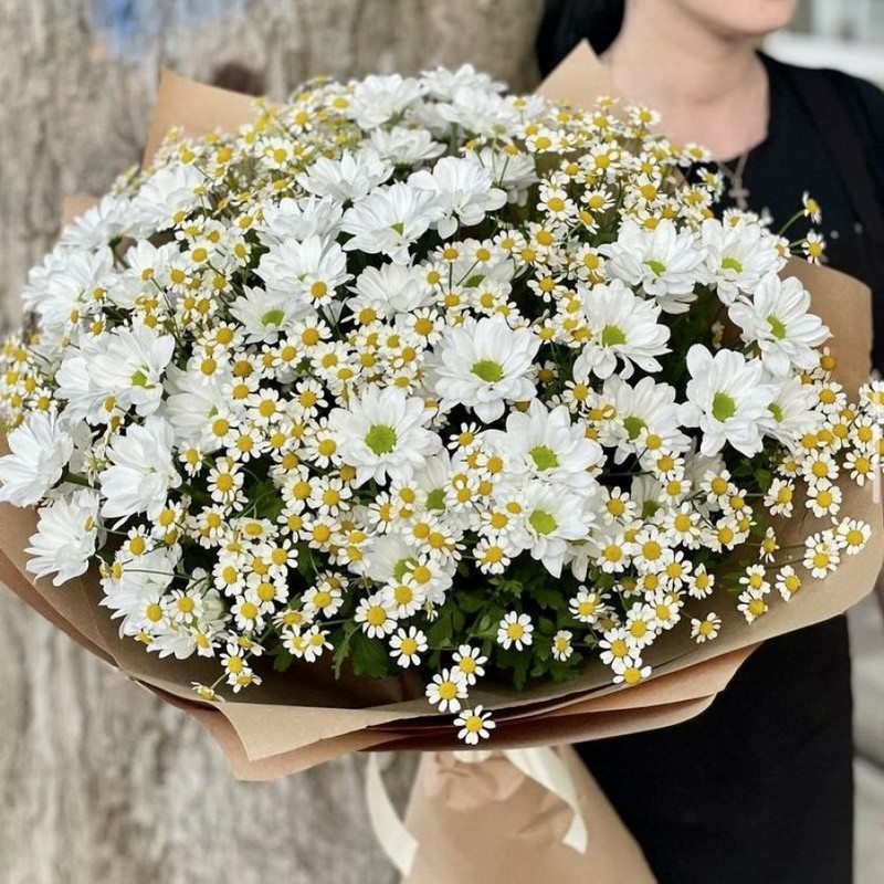 Bouquet "Miracle Chamomile", standart