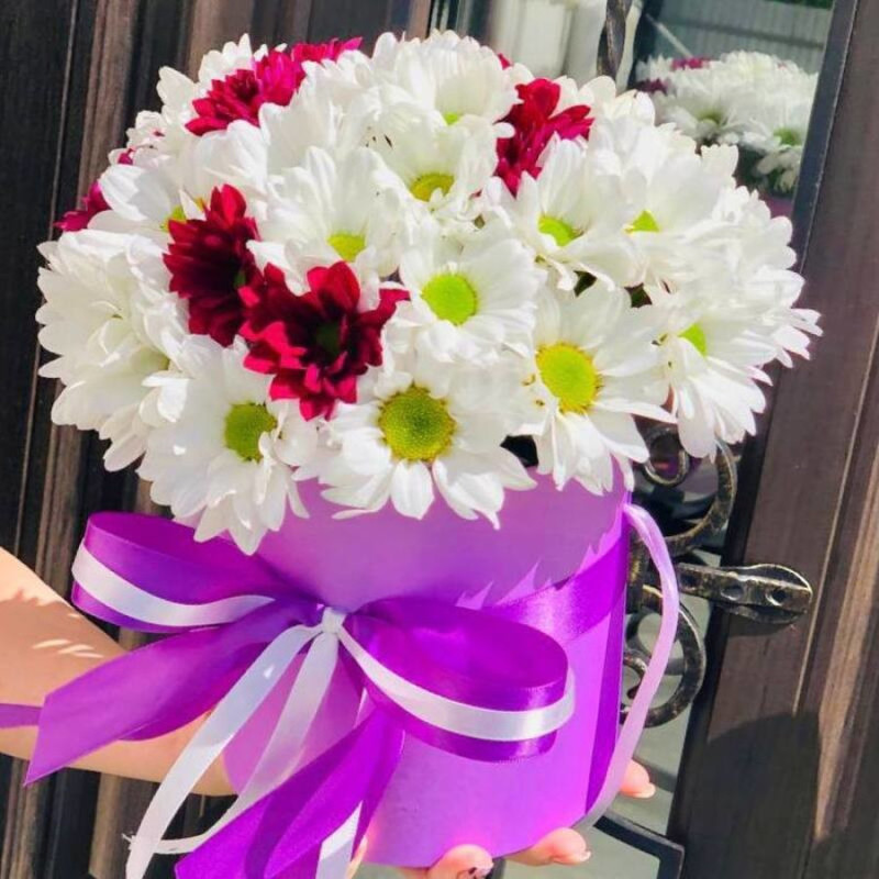 Daisies in a hatbox, standart