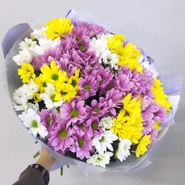 Bouquet of 11 chrysanthemums