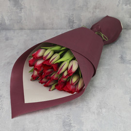 Букет из 25 тюльпанов «Красные тюльпаны в упаковке»