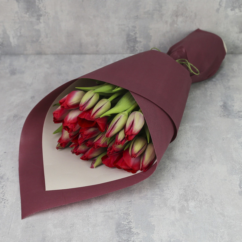 Bouquet of 25 tulips "Red tulips in a package", standart