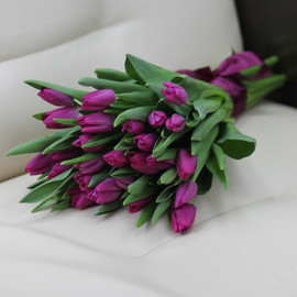 Букет «25 фиолетовых тюльпанов»