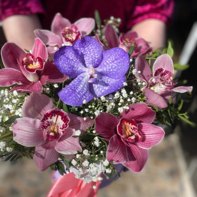 Цветы в коробке «Микс орхидеи», стандартный