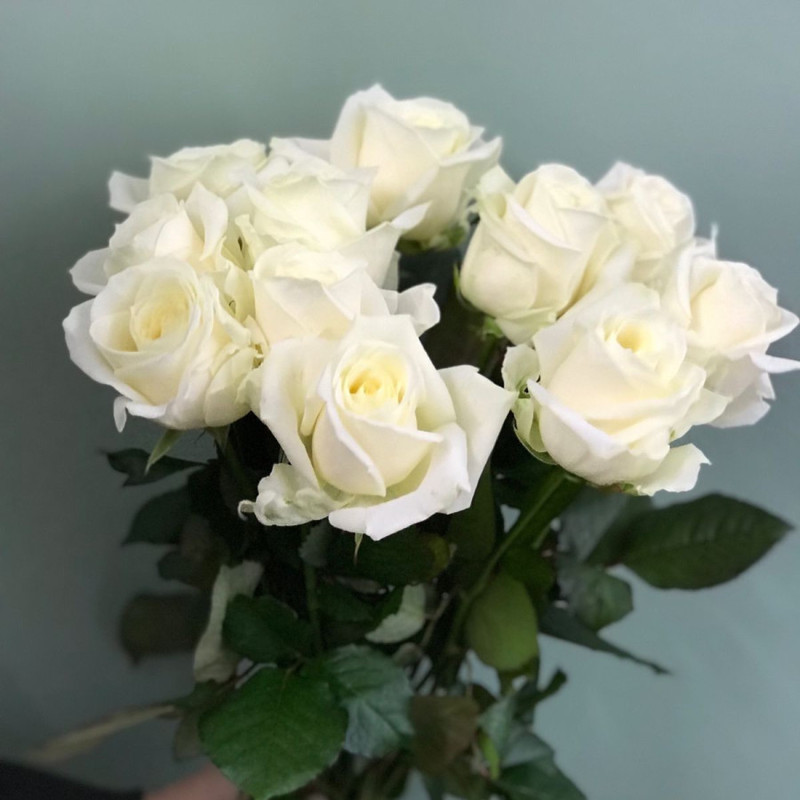 11 белых роз, стандартный