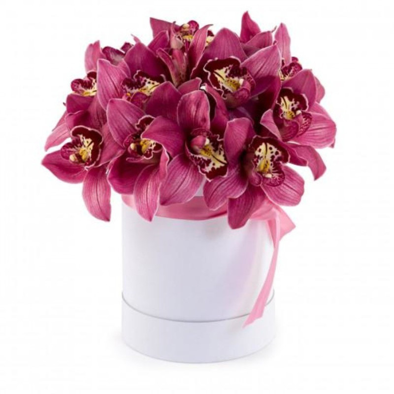 Hat box with orchid, standart