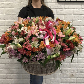 Giant basket of alstroemerias with lilies
