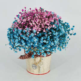 Bouquet of rainbow gypsophila in a bucket