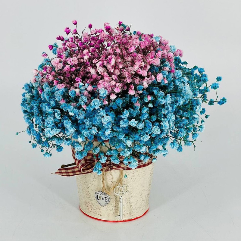 Bouquet of rainbow gypsophila in a bucket, standart