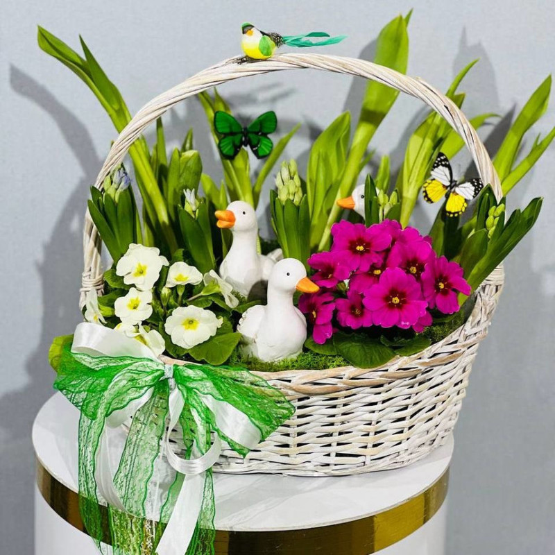 Spring mini garden with primroses in a basket, standart