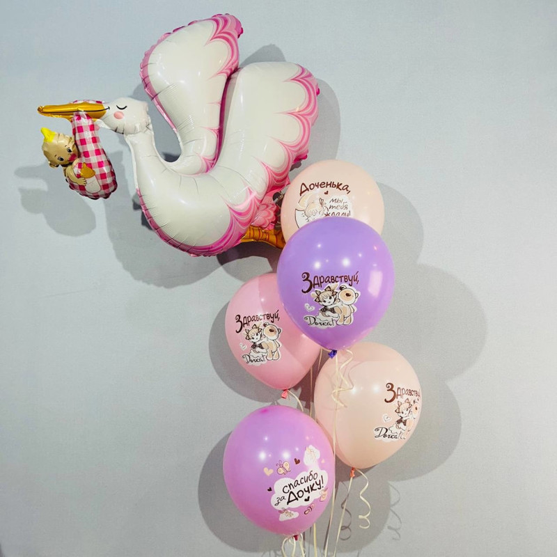 A set of balloons for discharge from the maternity hospital with a stork, standart