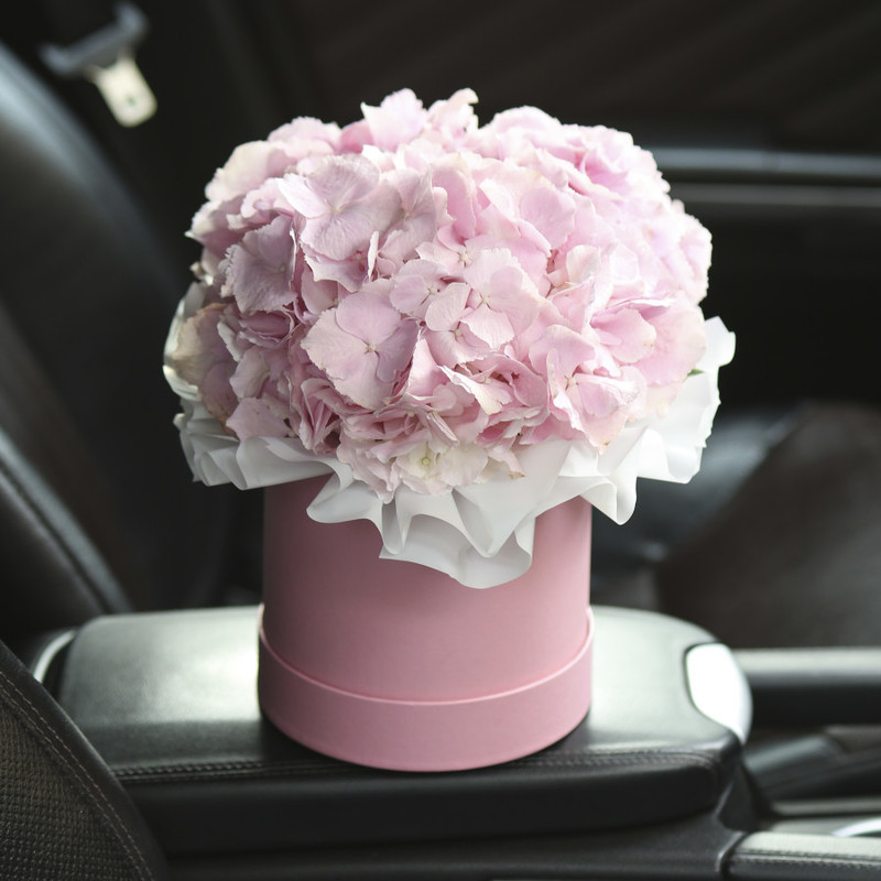 Pink hydrangea in a hatbox, standart