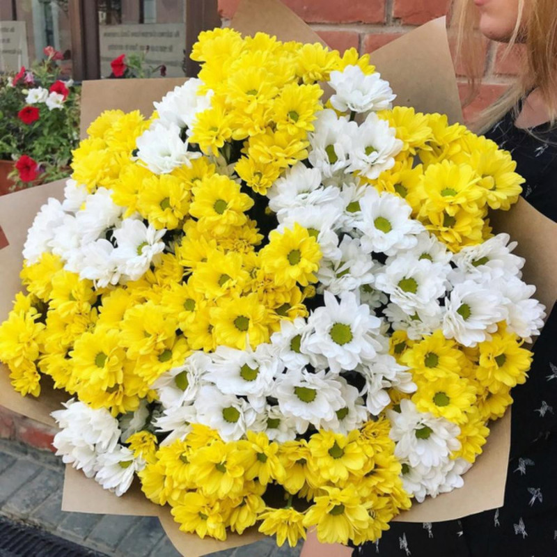 Bouquet of their chrysanthemums, standart
