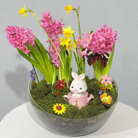 Florarium with primroses and a rabbit