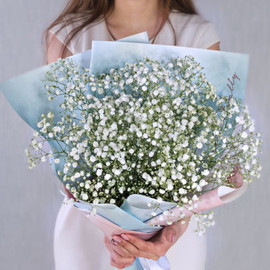 Bouquet of white gypsophila