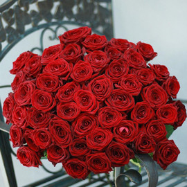 Букет из 51 красной розы