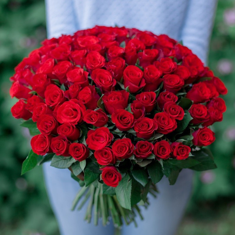 101 красная роза 50 см, стандартный