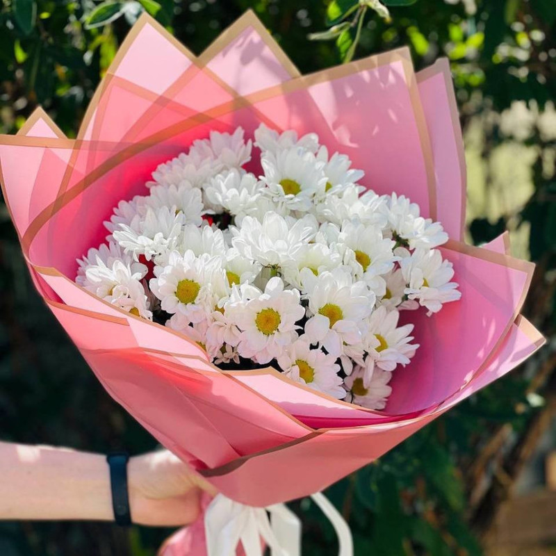 Bouquet of white daisies, standart