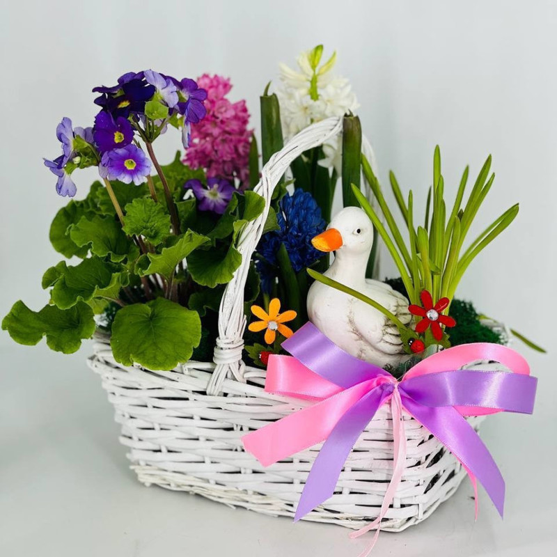 Spring primroses in a wicker basket with a decorative duck figurine, standart