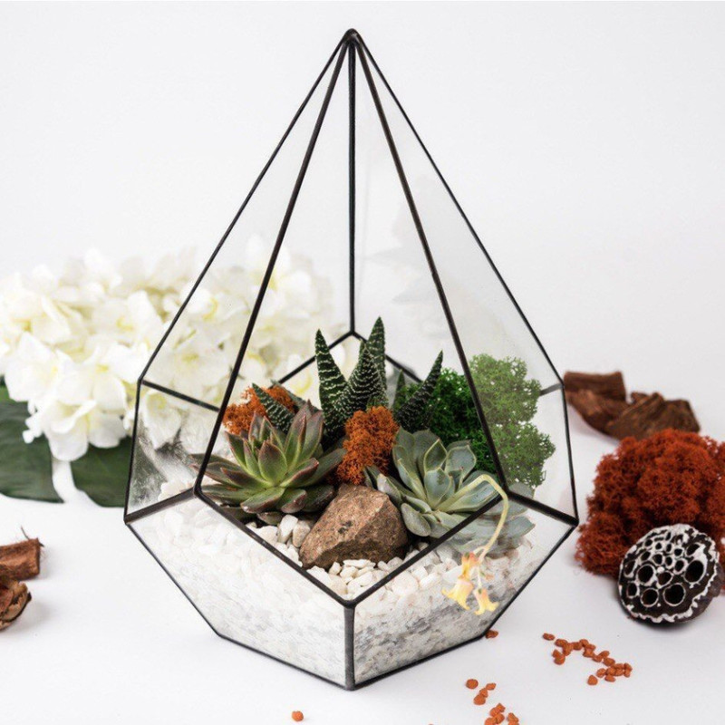 Florarium crystal with succulents, standart