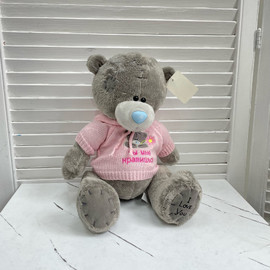 Teddy bear in a pink sweatshirt