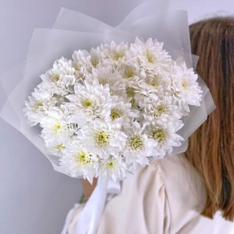 White chrysanthemum, mini