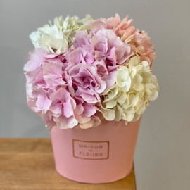 Marshmallow pink with hydrangea MIX