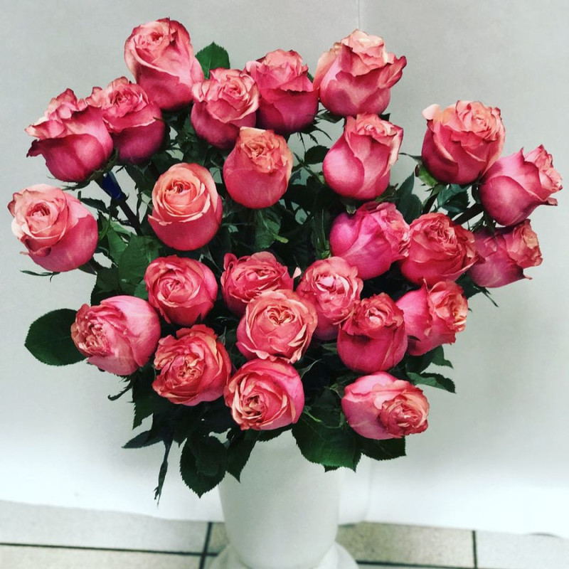 25 Gorgeous roses, standart