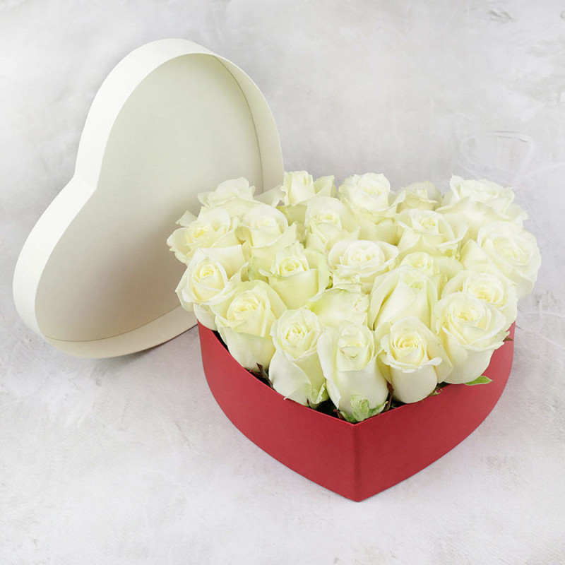 25 white roses in a heart, standart