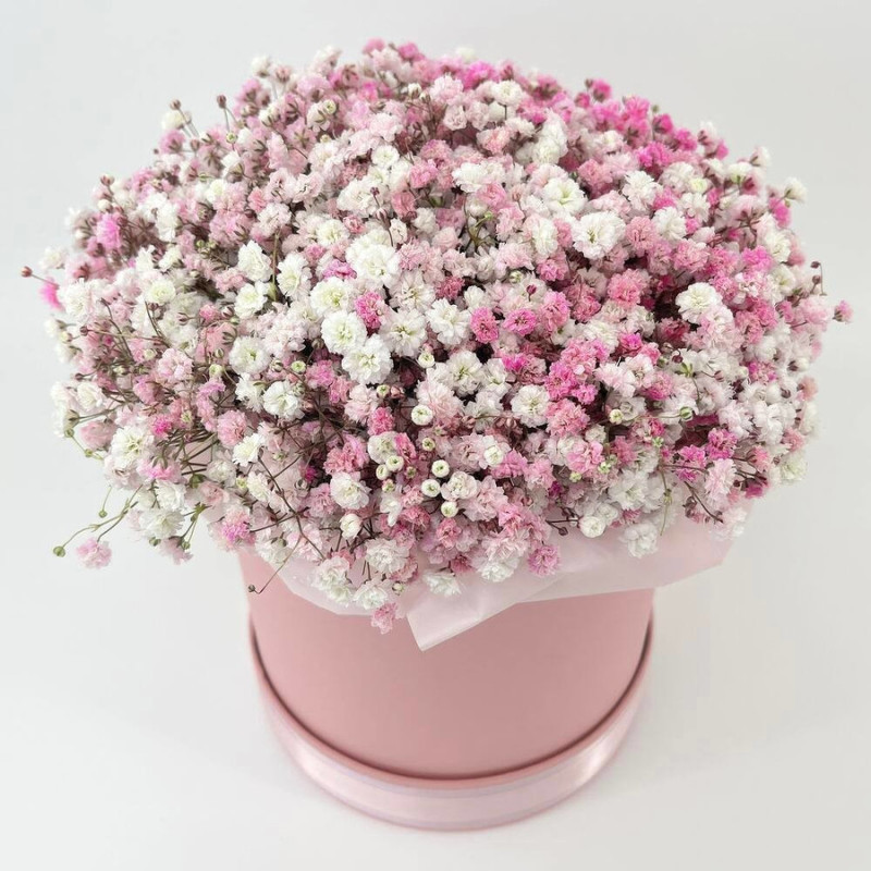 Fresh flowers in a box. Bouquet of fresh pink gypsophila, standart