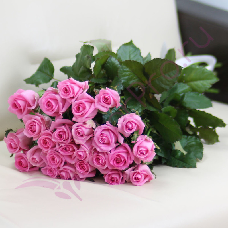 25 розовых роз Ревиваль 60 см, стандартный